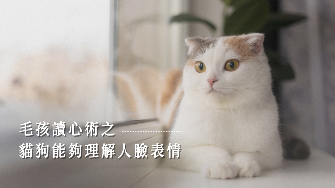 毛孩讀心術