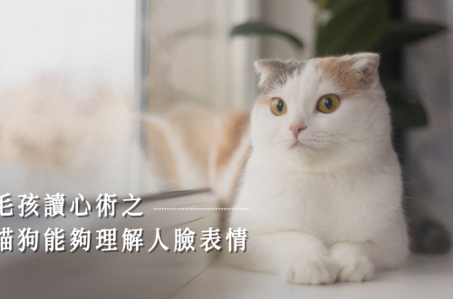 毛孩讀心術