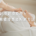 針清療程