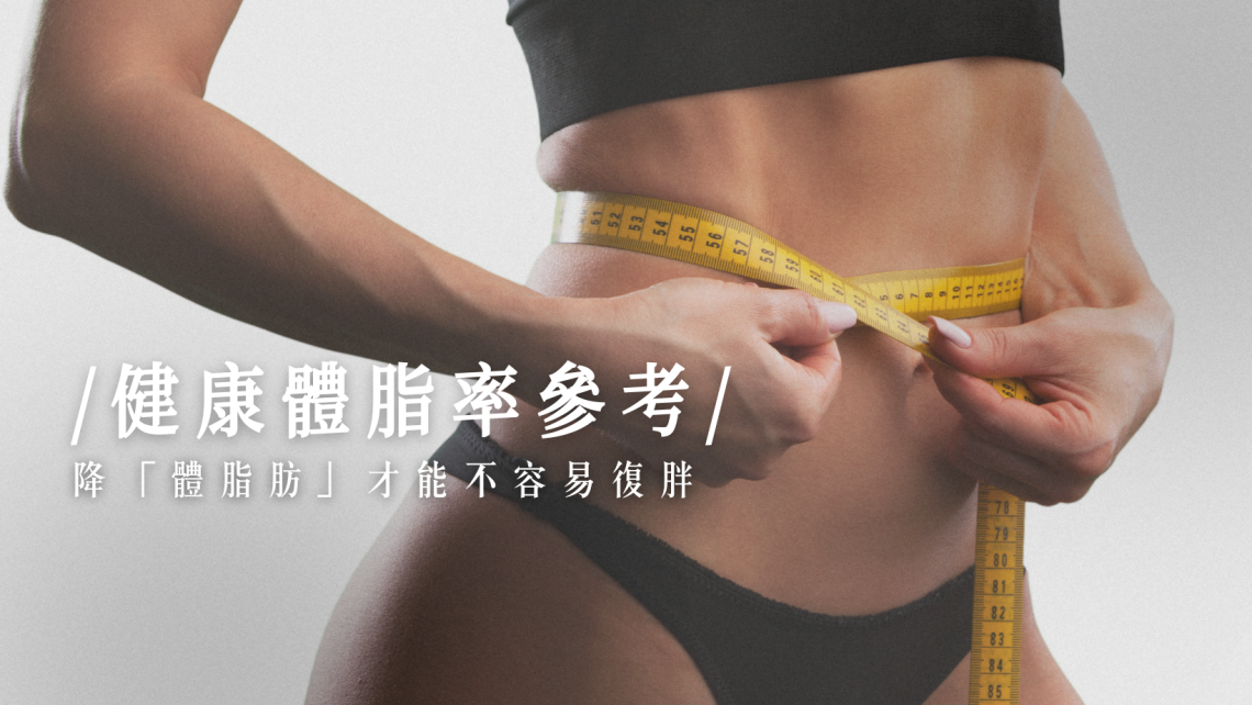 健康體脂率參考