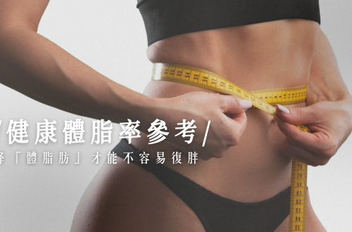 健康體脂率參考