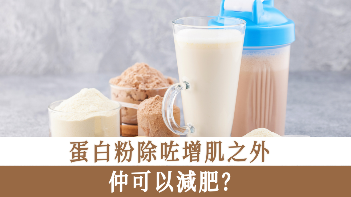蛋白粉