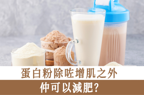 蛋白粉