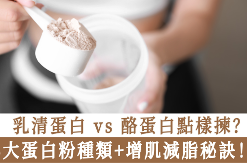 乳清蛋白 vs 酪蛋白點樣揀